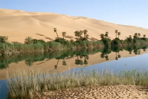 Dattes, fruits et légumes du Sahara algérien s'exportent dans le monde 3 L'eau, la seconde vie du désert et les dattes