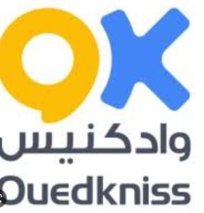 Ouedkniss