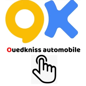 Ouedkniss le site le plus visités en Algérie