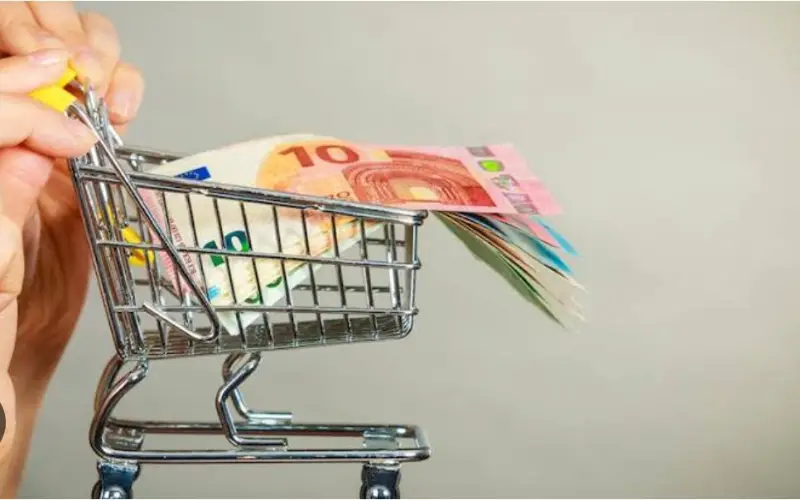 Chèque alimentaire de 65€ : une nouvelle subvention mensuelle pour les ménages modestes ?