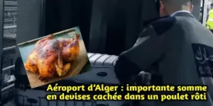 Aéroport d’Alger : tentative de transfert illicite de devise dans un poulet rôti déjouée