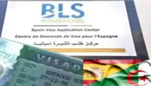 Visa Schengen pour algériens : BLS International publie une note importante 3 BLS International