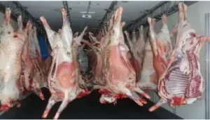 quelle est l’origine de la viande rouge à 1200 DA importée par l'Algérie ?