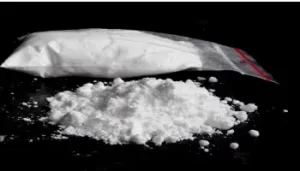 Grosse saisie de cocaïne dans la wilaya de M’sila