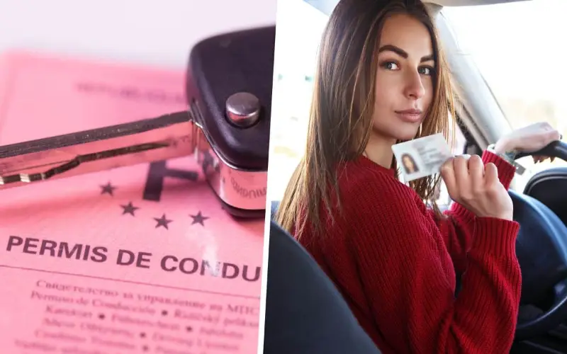 permis de conduire