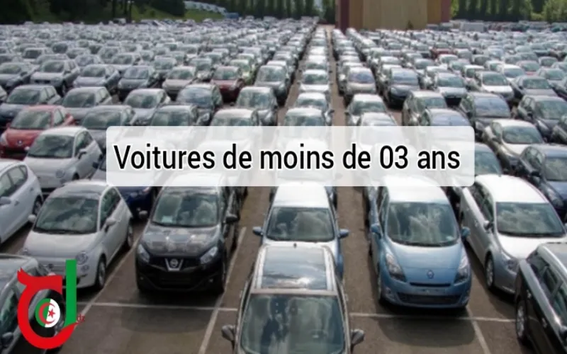 Voitures de moins de 03 ans : les précisions du ministre concernant la licence Moudjahidine