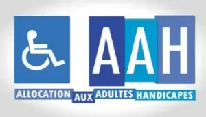 AAH, AEEH, PCH,… Comment contester une demande d’allocation liée au handicap refusée ?