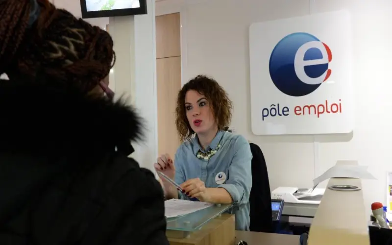 amende de mentir à Pôle emploi