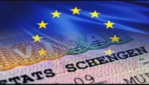 Visa Schengen : les raisons derrière les rejets