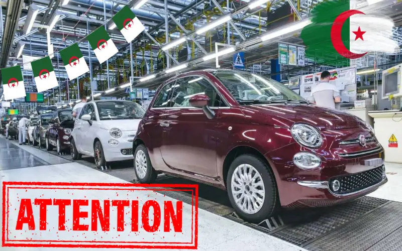 Fiat 500, 500 x et Tipo: la commercialisation bât son plein en Algérie