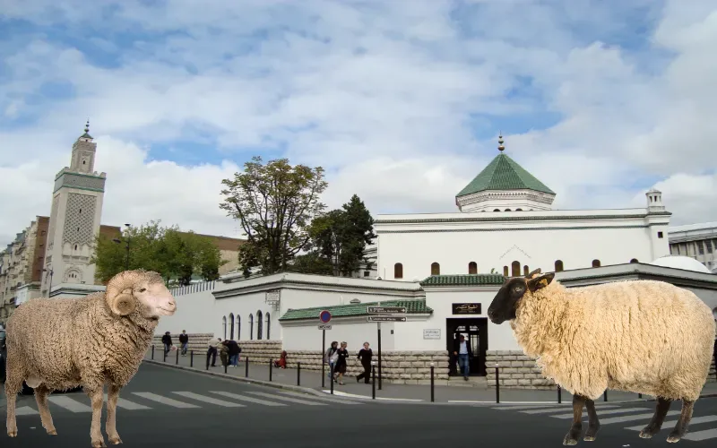 Aïd el adha 2023 en France: la Grande mosquée de Paris annonce la date