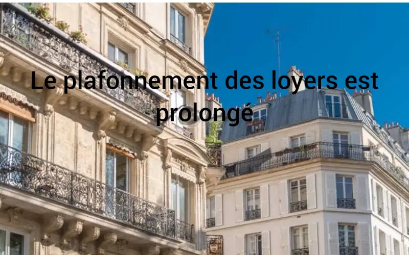 Le plafonnement des loyers : une bonne nouvelle pour les locataires