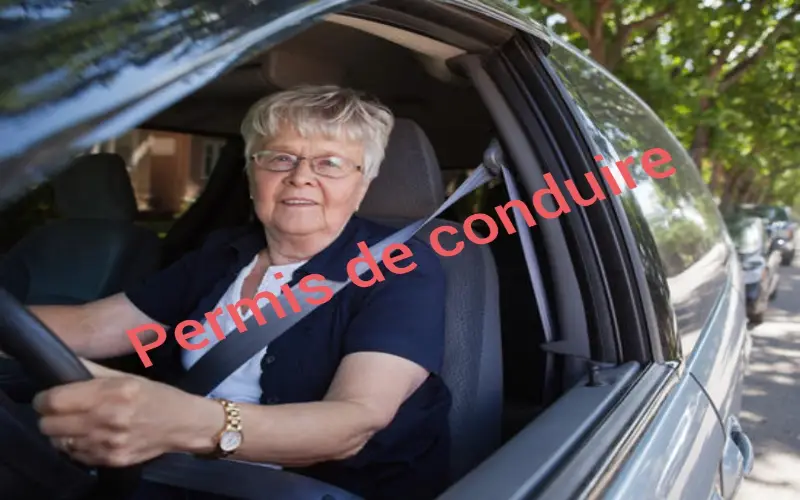 Permis de conduire : Comment savoir si une personne âgée est apte à conduire ?