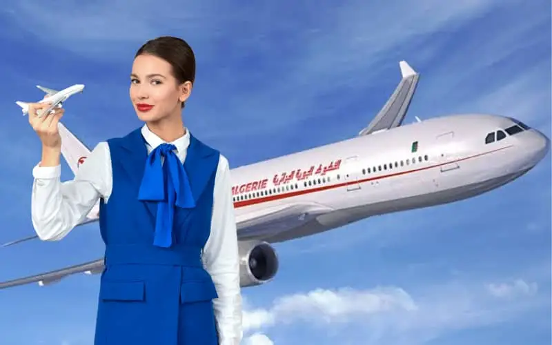 Air Algérie recrute des hôtesses de l’air et des stewards pour renforcer sa qualité de service