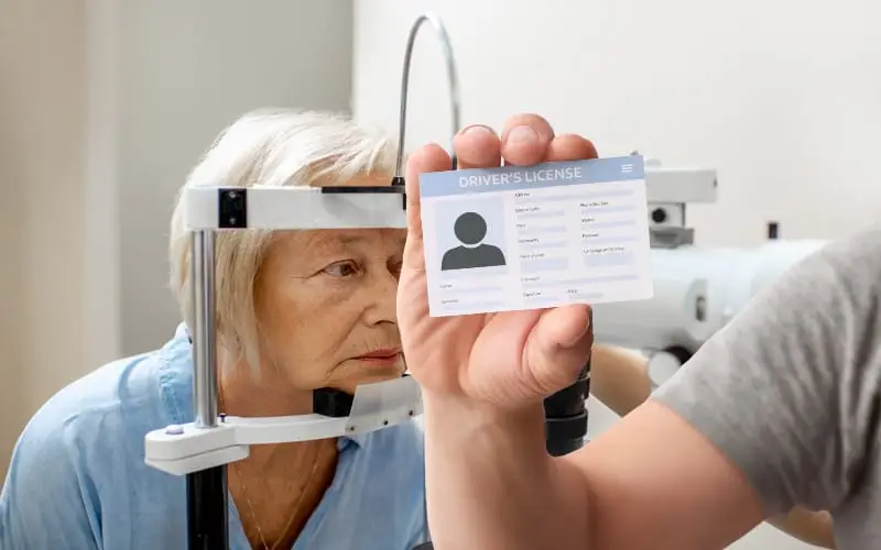 Permis de conduire français